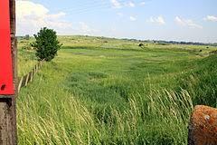 Rezerwat przyrody Owczary